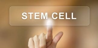 Can Stem Cell Therapy Treat Your Chronic Pain