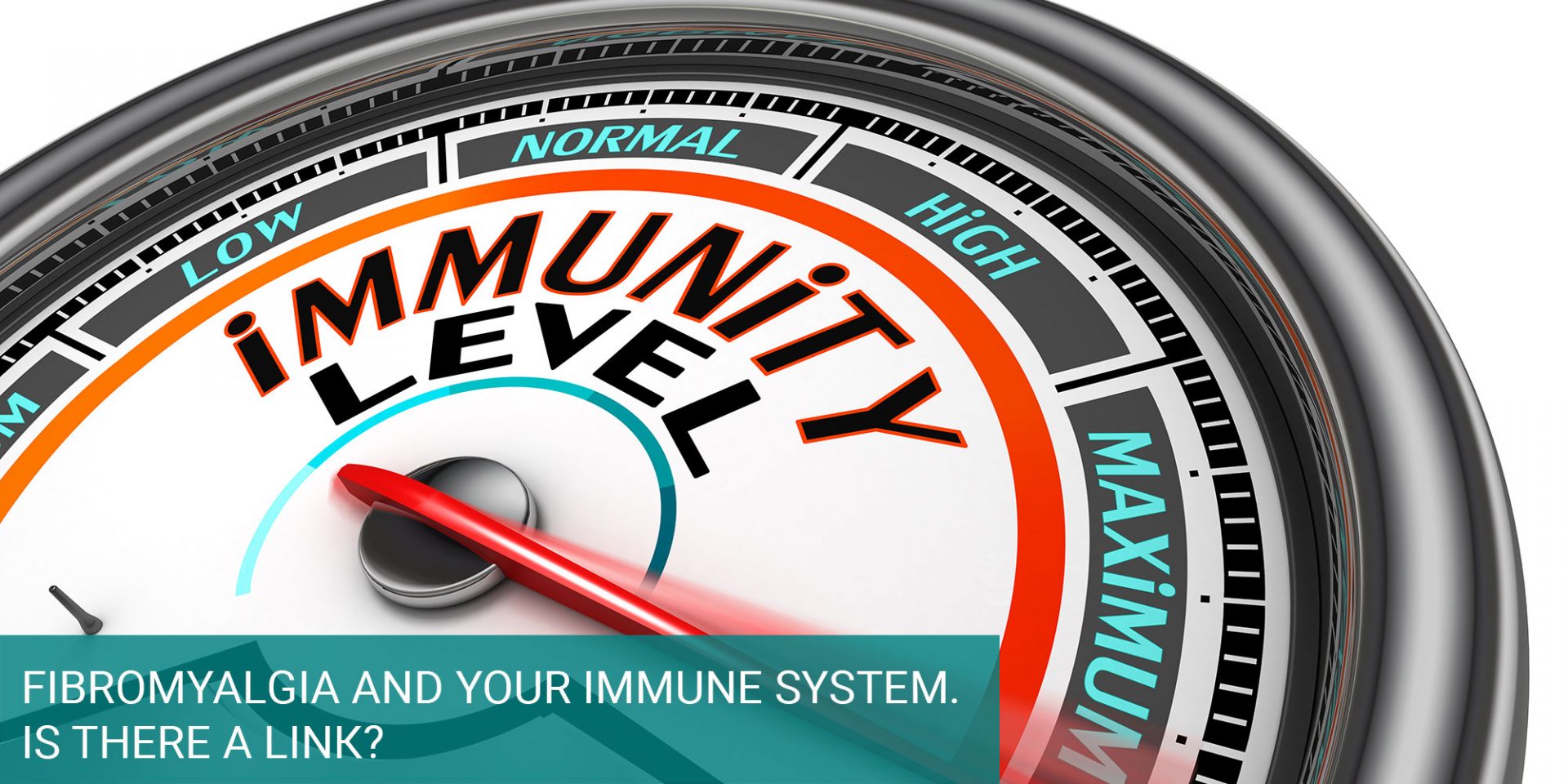 Fibromyalgia and Your Immune System