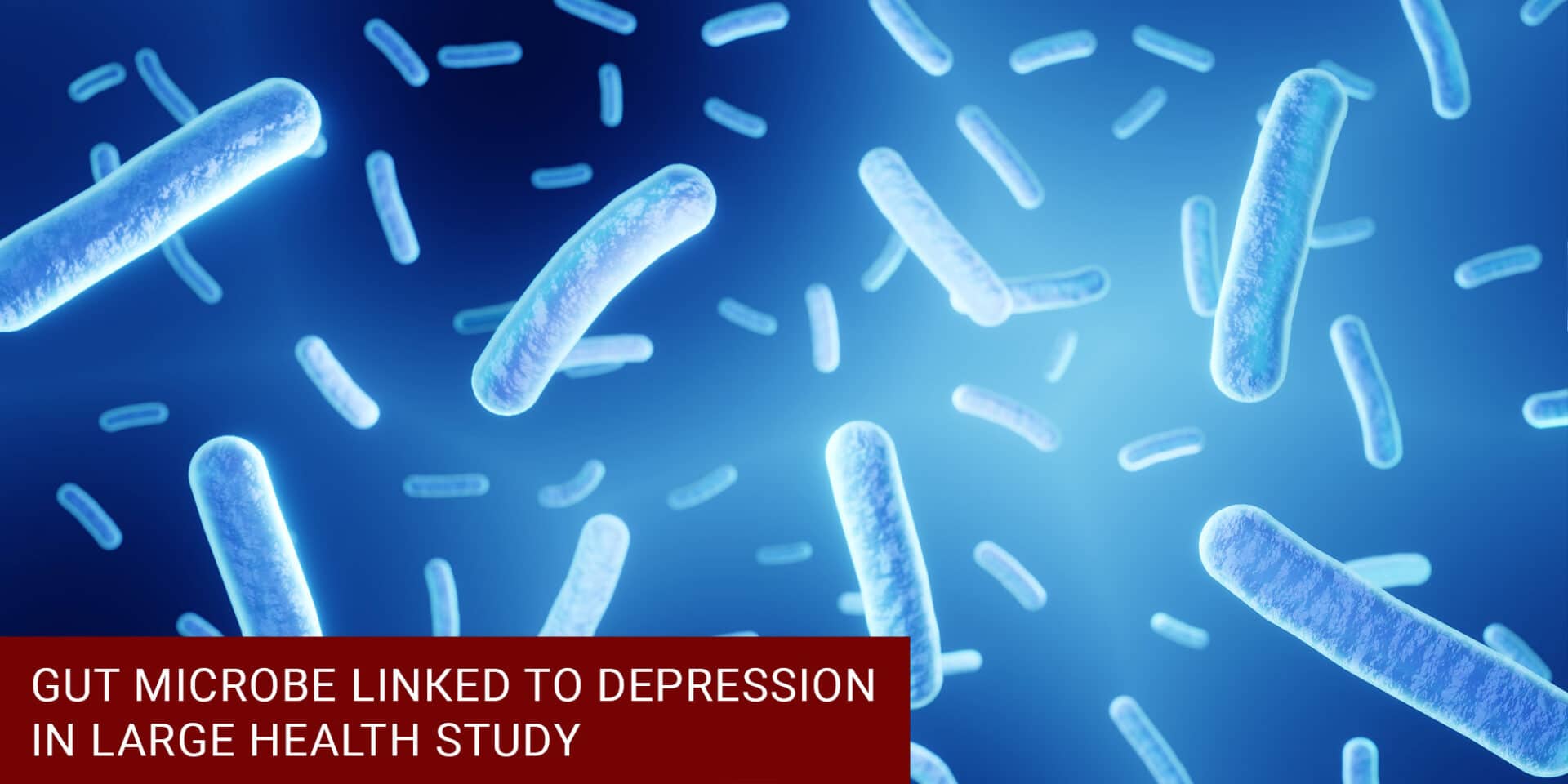 Gut Microbe Linked to Depression