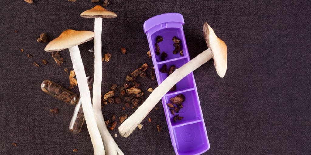 microdosing mushrooms for pain