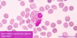 New Target for Blood Cancer Treatment