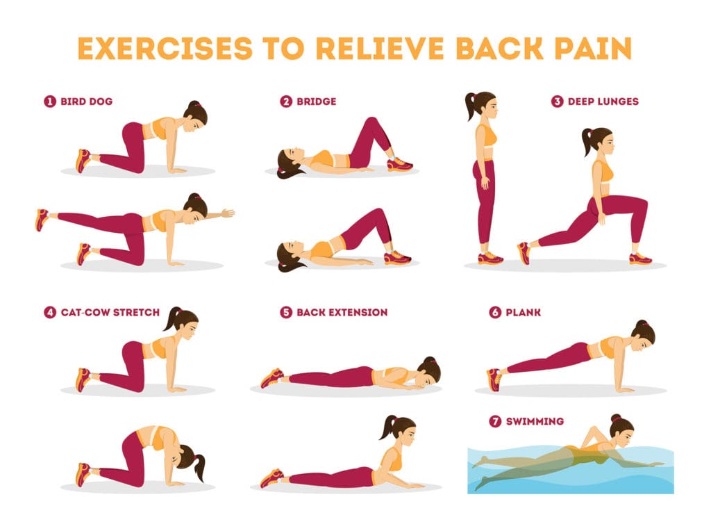 Back Pain Exercises Infographic