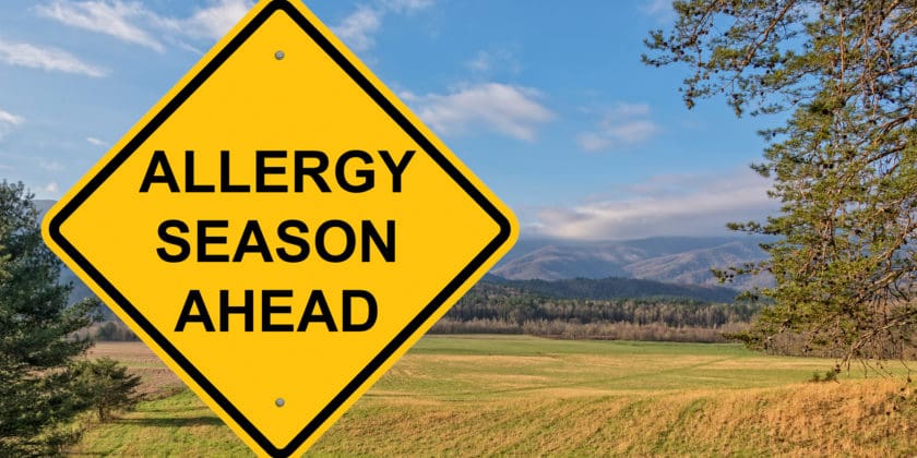 Seasonal Allergies: How to Approach Allergy Season with Chronic Pain