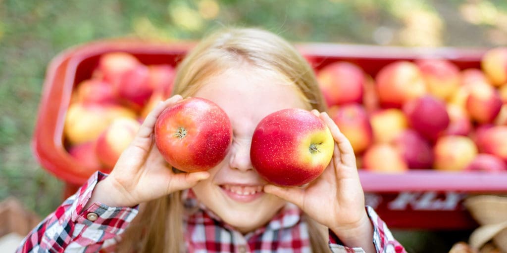 apple orchard