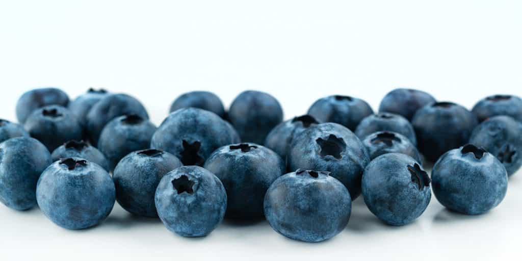 Reduce Pain With Blueberries