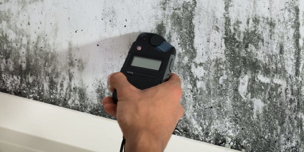 How to spot black mold in your home 