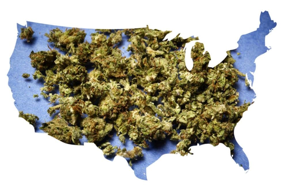 marijuana legalization and pain management marijuana buds on a map of the United States