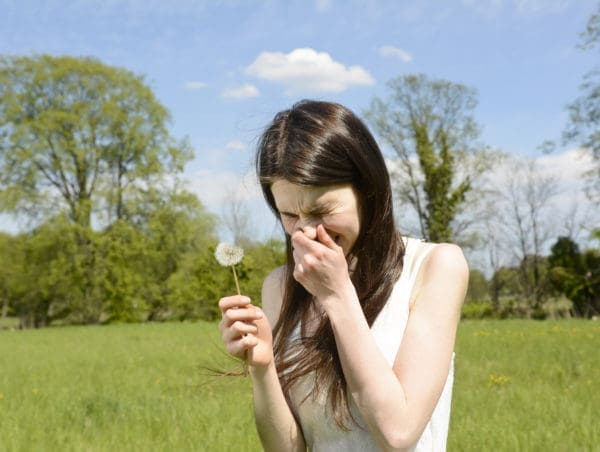 nose pain and headaches hay fever 