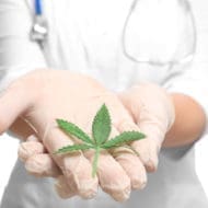 marijuana legalization and pain management