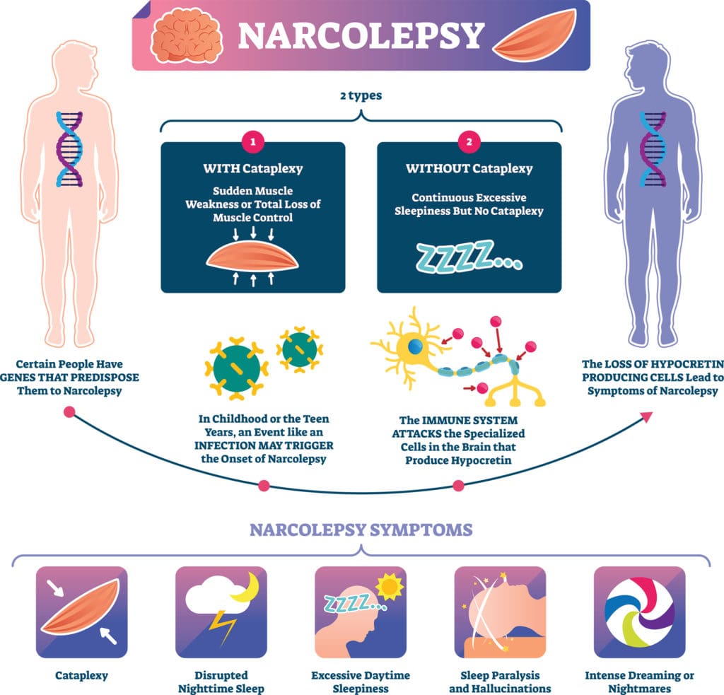 two main types of narcolepsy